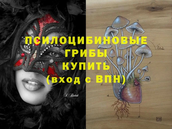 дурь Волоколамск