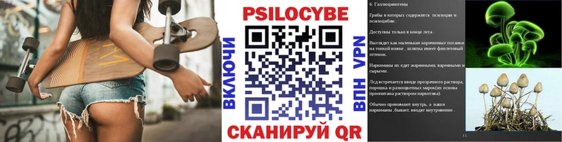 Псилоцибиновые грибы Psilocybine cubensis Коркино
