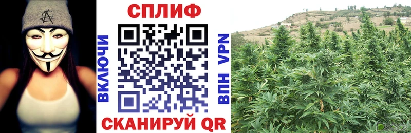 МАРИХУАНА Amnesia  Купить где  Коркино 